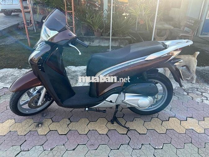 bán sh 150 hàng 3 cục