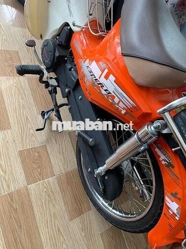 cup 50cc 2022
