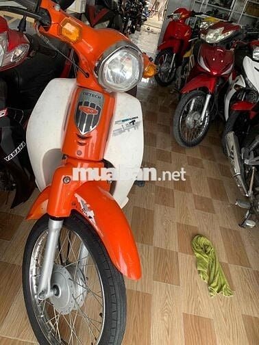 cup 50cc 2022