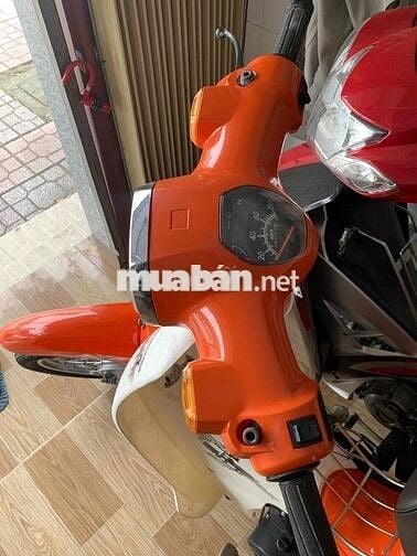 cup 50cc 2022