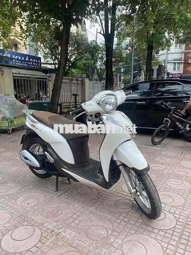 Sh mode nguyên bản chính chủ biển hà nội