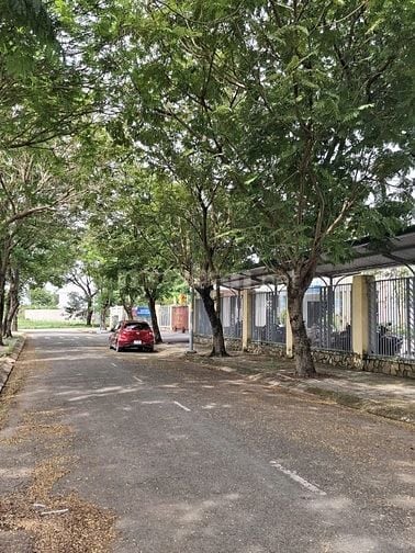 Bán đất đường D2 phường Trường Thạnh Quận 9 giá 5,2 tỷ