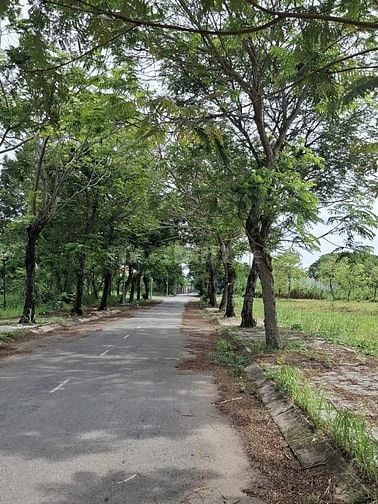 Bán đất đường D2 phường Trường Thạnh Quận 9 giá 5,2 tỷ
