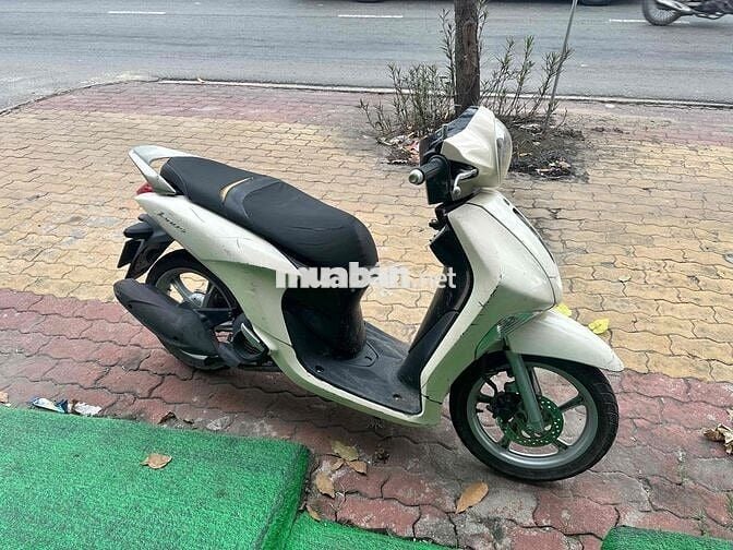 Januss 2017 ccccd chủ máy rin êm