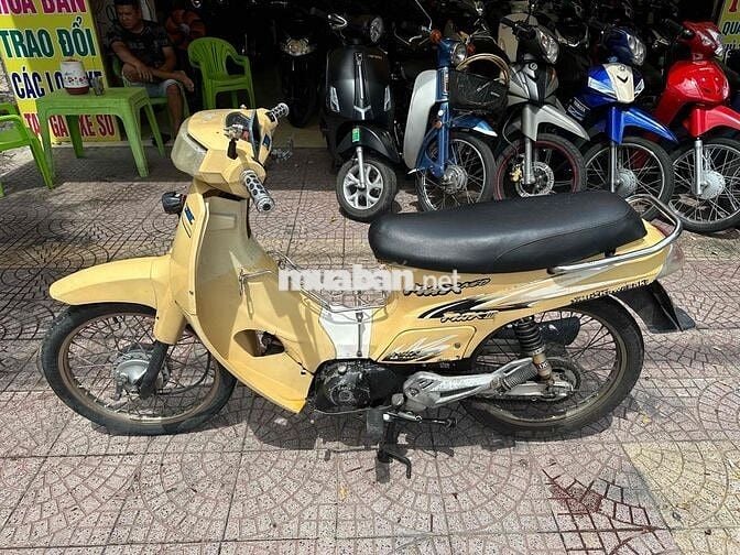 max 50c vĩnh long