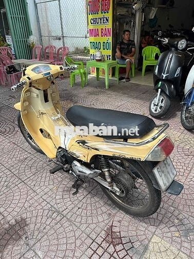 max 50c vĩnh long