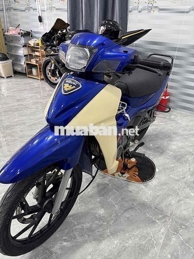 xipo 120 6s