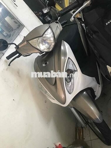 kim cô 50 cc