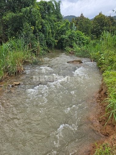 Bán Đất Giáp Suối Đá Lớn - Có Thổ Cư - Mặt Tiền Đường Nhựa Liên Xã