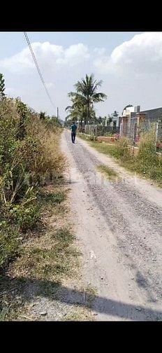Bán gấp lô đất thuộc Ấp Chòm Dừa, Xã Đồng Khởi, Châu Thành, Tây Ninh