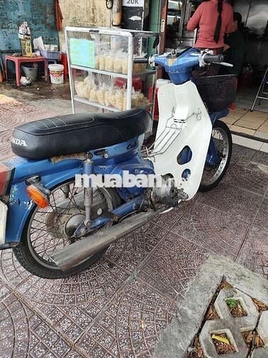 Xe cub giá rẻ