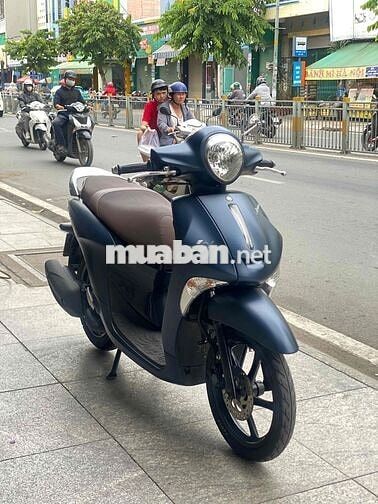 janus smarkey xanh nhám bstp ngay chủ