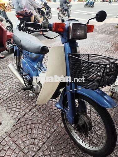 Xe cub giá rẻ