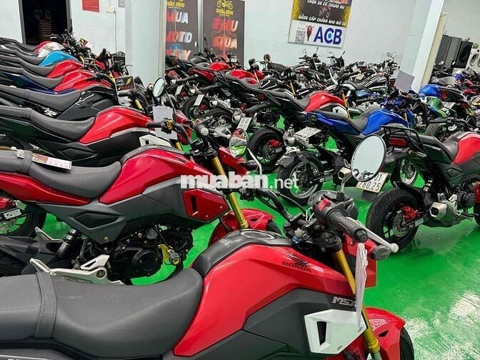 Gả dàn Honda Msx125 đẹp đủ đời, đủ màu giá tốt