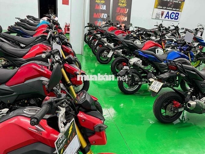 Gả dàn Honda Msx125 đẹp đủ đời, đủ màu giá tốt
