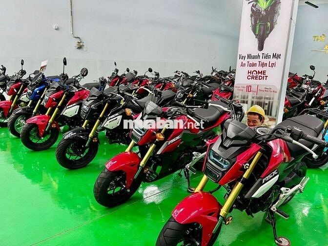 Gả dàn Honda Msx125 đẹp đủ đời, đủ màu giá tốt