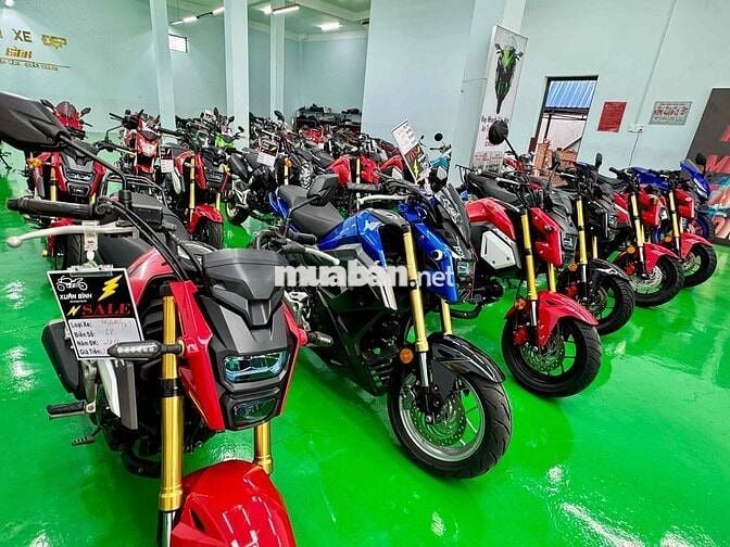 Gả dàn Honda Msx125 đẹp đủ đời, đủ màu giá tốt