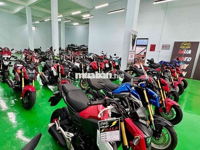 Gả dàn Honda Msx125 đẹp đủ đời, đủ màu giá tốt
