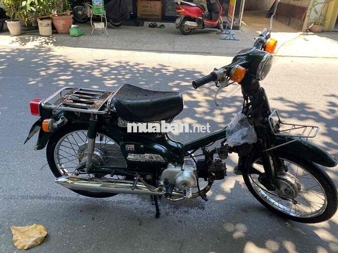 Xe cub biển 43