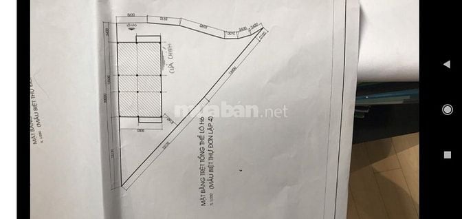 Bán đất đường D7 phường Trường Thạnh Quận 9 giá 12 tỷ