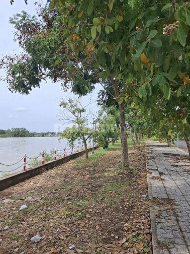 Bán đất đường D7 phường Trường Thạnh Quận 9 giá 12 tỷ