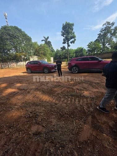 Vợ chồng em bán đất để về quê chăm bố mẹ
