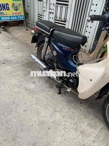 cần xe CUB 50/cc đời mới có đề danh cho học sinh