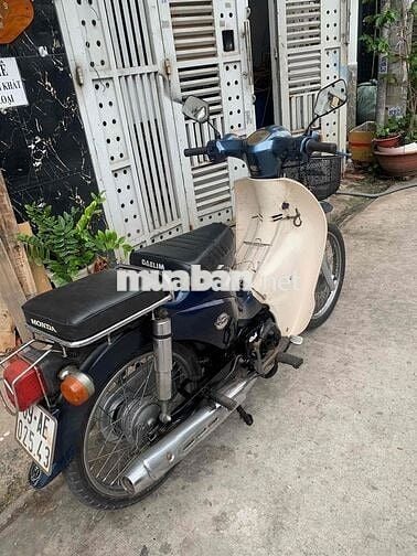 cần xe CUB 50/cc đời mới có đề danh cho học sinh