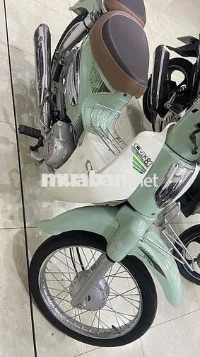 cup 50 cc