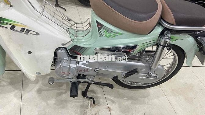 cup 50 cc