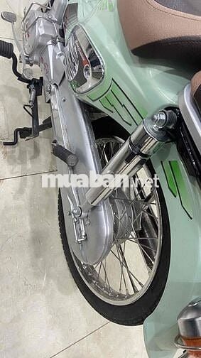 cup 50 cc