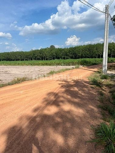 CÒN 6 LÔ ĐẤT NGỘP TP.HCM CẦN TÌM CHỦ NHÂN