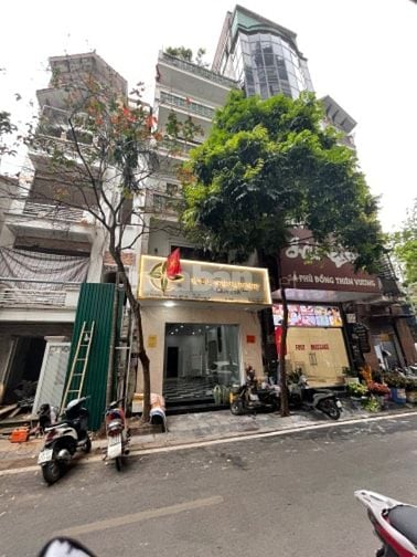 Chính chủ cho thuê nhà mặt phố