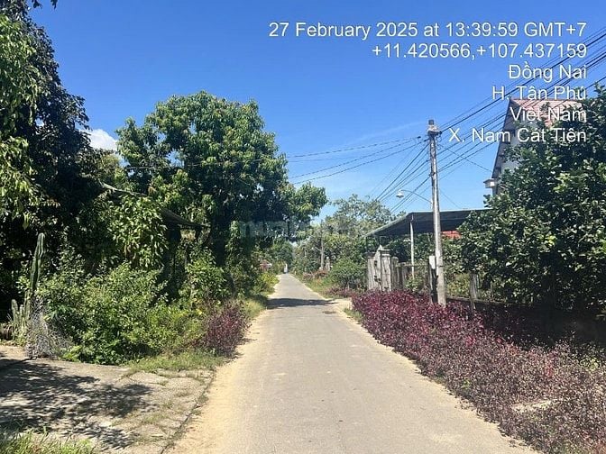 Bán đất hẻm đường 600A, đối diện UBND xã Nam Cát Tiên