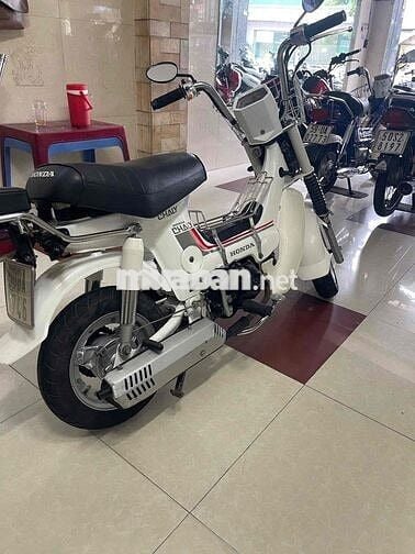 chaly nhật đèn vuông bstp