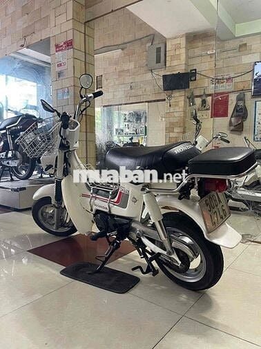 chaly nhật đèn vuông bstp