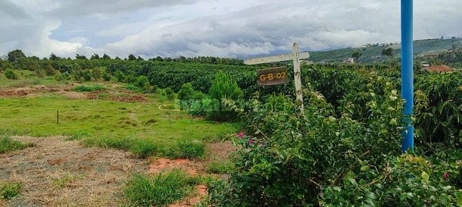 ĐẤT 1106M2, thổ cư 173m2, xẫ Đan Phượng, huyện Lâm Hà