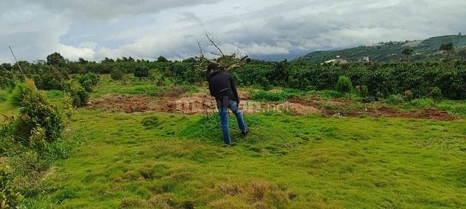 ĐẤT 1106M2, thổ cư 173m2, xẫ Đan Phượng, huyện Lâm Hà