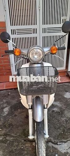 Cub 50