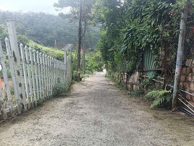 Chính chủ cần bán gấp đất Hoàng hoa thám, trung tâm tp Đà lạt