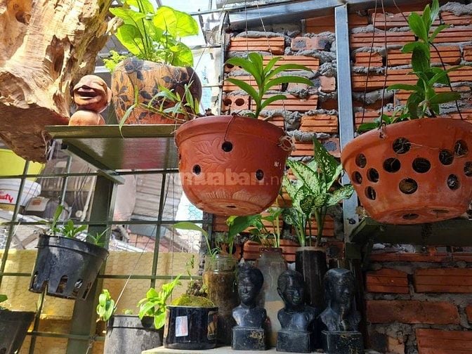 bán căn hộ TT Vọng Hà, chỉ việc xách vali về ở