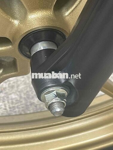 Ex 155 abs 2024