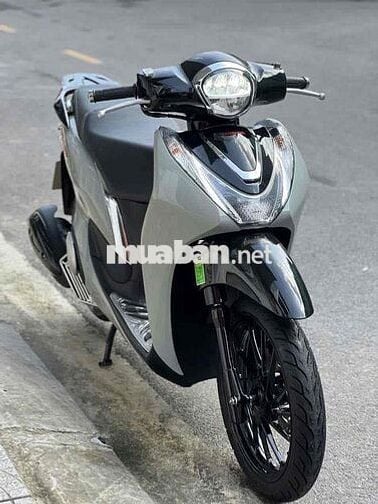 sh mode 2020. xám xi măng