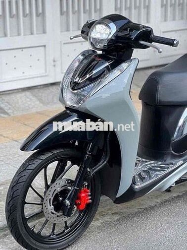sh mode 2020. xám xi măng