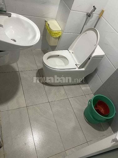 Hẻm nhựa 5m 5 tầng btct 5 PN 60m2(4x15m) Phan Anh, Bình Tân