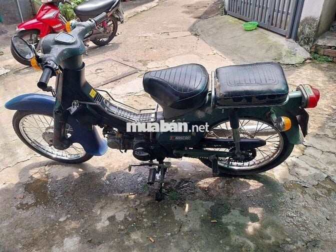 Cub 50 cc cực ngon