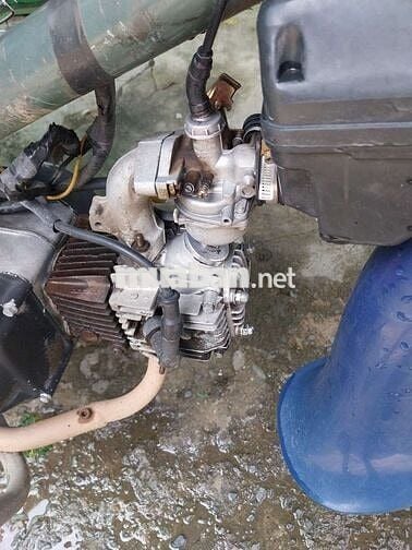 Cub 50 cc cực ngon