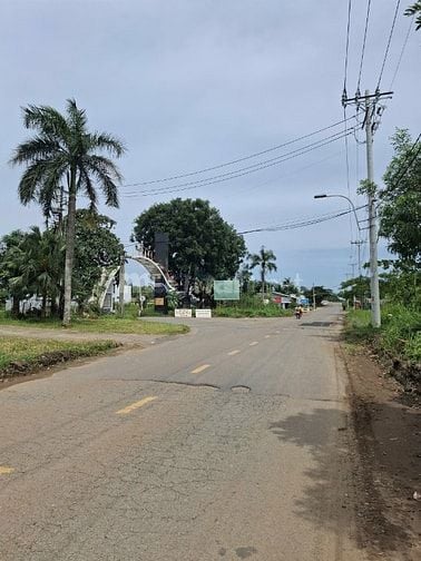 Bán đất hẻm xe tải đường Tam Đa quận 9 giá 4,1 tỷ