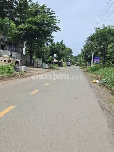 Bán đất hẻm xe tải đường Tam Đa quận 9 giá 4,1 tỷ