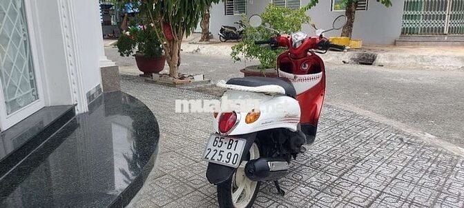 Mio clacico bs65